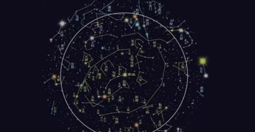 三、  神煞互动与凶险征兆：白虎与玄武的致命邂逅