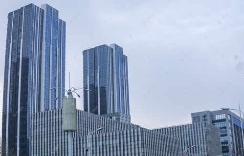 五、采光视野与阴阳平衡的考量