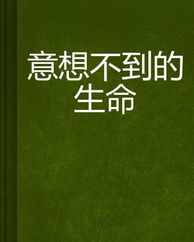 生命灵数的内在涵义及其解构