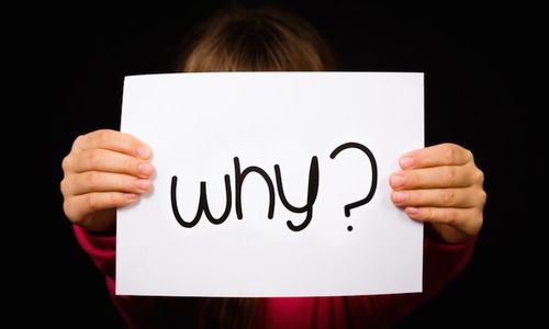 二、  极端情境下的“奇迹”重构与生命脆弱性的显现