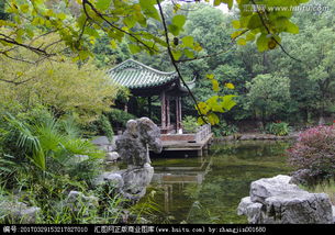 地形绿化要老命