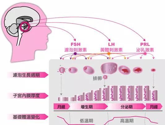 二、解决方案总览：不止于较小窍门