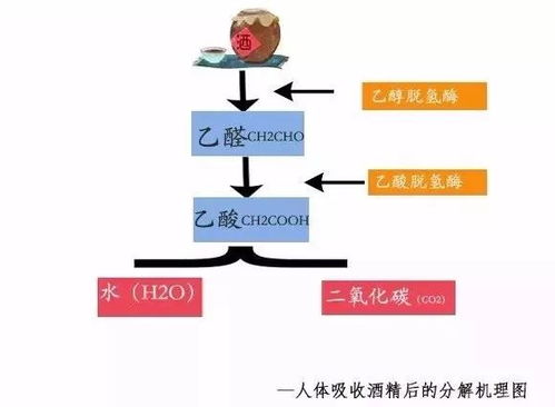 五行缺啥别缺命，名字补错要人命