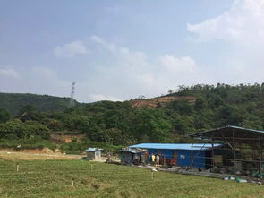 风水学中，阴宅艮龙入首乾向的艮龙入首究竟指的是什么方向或地形？