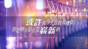 一、 正念与幻象：晨会正能量的表象与潜藏的焦虑