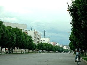 第一个地方：社保局后门的秘密花园