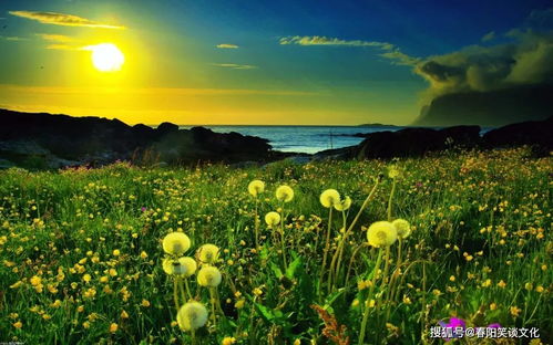 2026年一月大吉日子属哪些生肖？哪些属相在2026年一月冲喜改？