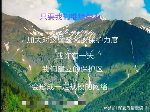 自然万象：捕捉稍纵即逝的美好