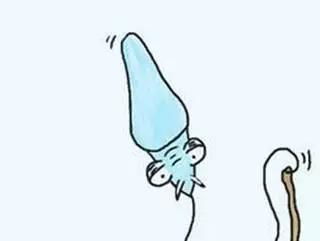 射精后的瞬间：精子的征途