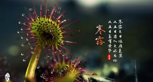 雨量减少与空气干燥