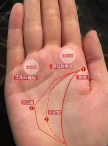 1. 钱财纹：较短期机遇的随机性获取