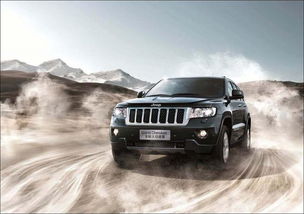 SUV：伪越野选手的自我修养