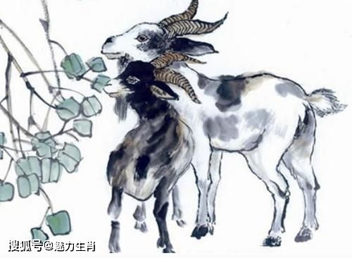 属羊人在2026虎年偏财运势，属猪虎转运旺财吉祥物具体是什么？