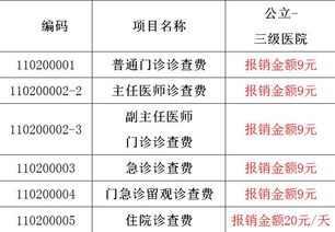1. 凶神值曜与黑道凶曜的并存现象