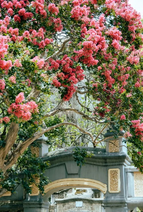 五、 时辰禁忌及其对仪式成功率的潜在影响