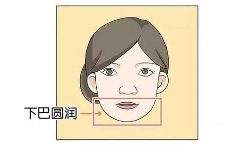 二、 薄小型耳垂在面相学中的文化内涵解读