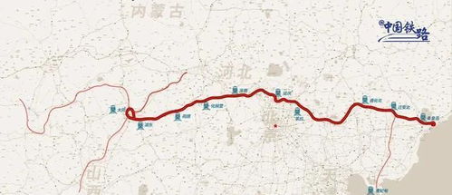 第一天：曹妃甸的咸鱼之旅 (以及我差点被海鸥袭击的经历)