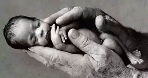 ：寺院超度堕胎婴灵的现实背景与学术意义