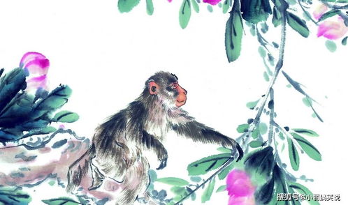 八零年属猴女性是否至今未曾经历爱情？