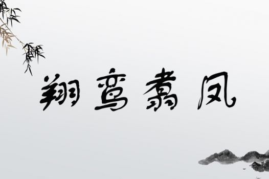 宝宝取名用翔字好吗？有哪些翔字取名建议？