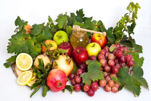 三、 果树的形态选择：高度与美学的双重考量