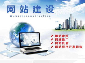 案例：卓诺网络公司