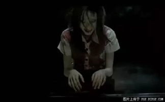 三、 生肖星座视角下的风水解读