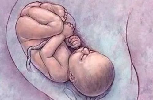 现代医学视角下的胎儿保育困境