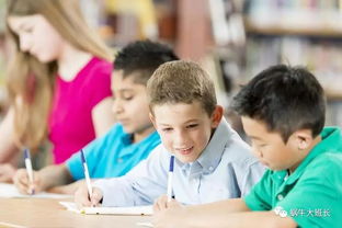 2. 学习环境优化