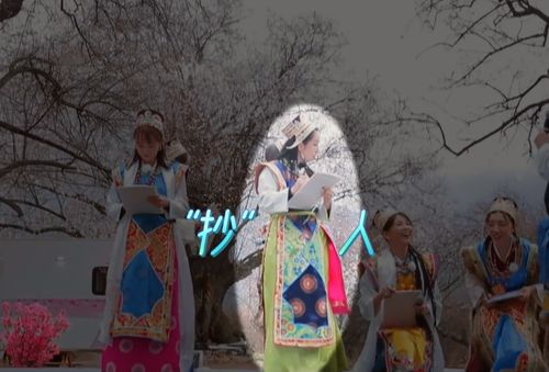 2.1 藏族及其他较高原民族