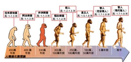 1．记忆基础的十分沉关键性