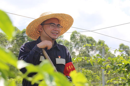 广西陆川县的风水师陆川良田风水先生，您能介绍一下陆川良田风水先生的看风水技巧吗？
