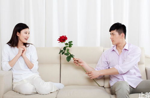 天同星同度：先花后果