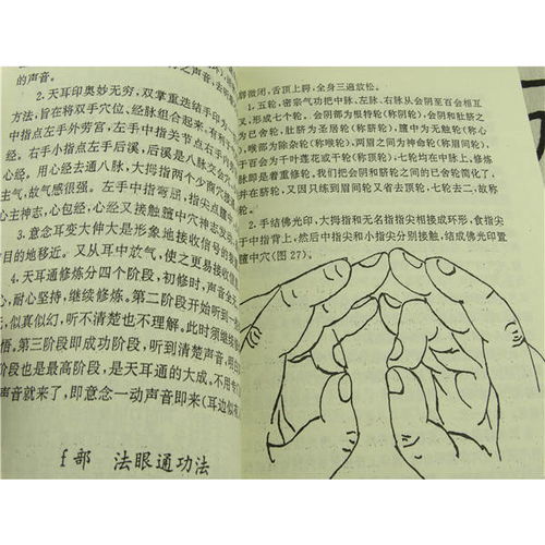 金字塔种生基的适用性与前期投入：一种精细化的选择