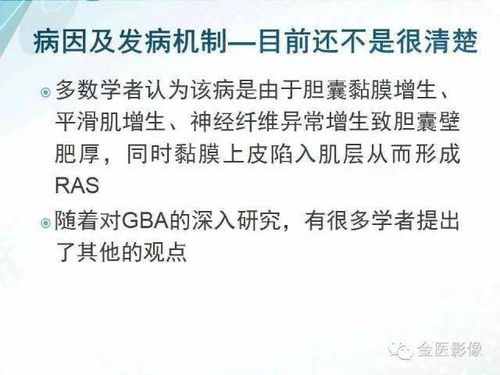 2.1 外显性格与行为模式