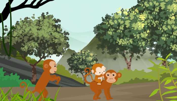 56年属猴2月份运势如何，具体运气分析是什么？