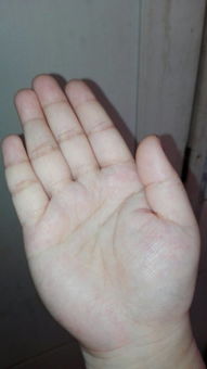 小孩看手相视频教程，小胖给同学展示手相技巧？