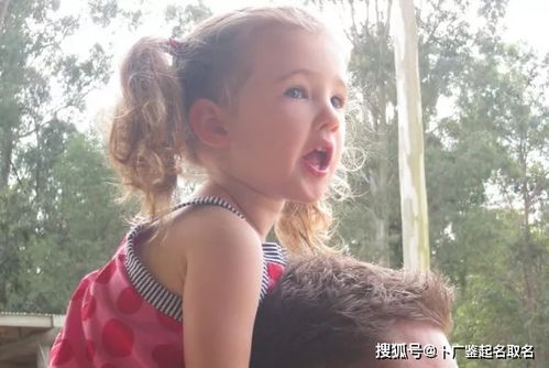 代表性名字案例解析