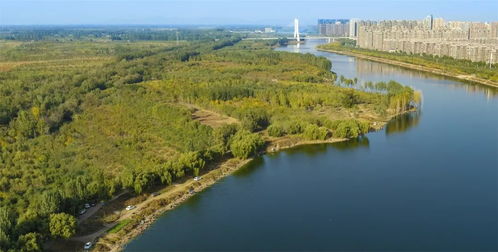 2. 绿得发慌的环境