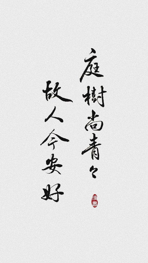 1. 字体之美：笔画与结构