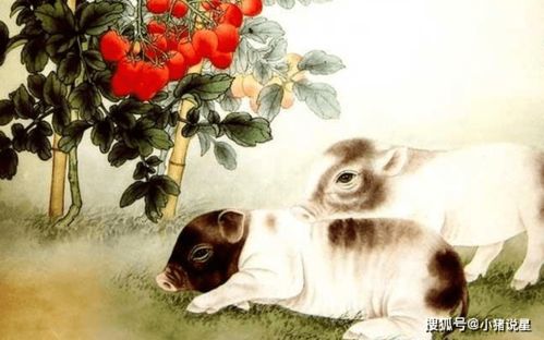 将一意孤行打一个生肖，难道不是属猪的吗？