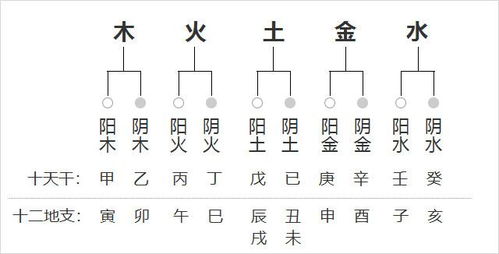理解天干地支与阴阳五行的基础