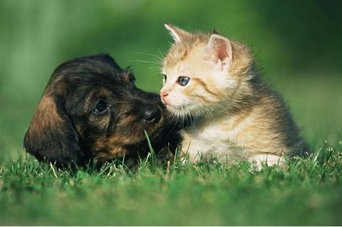 四、 风水这事宁可信其有！