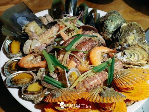 惯与噪音的一些想法