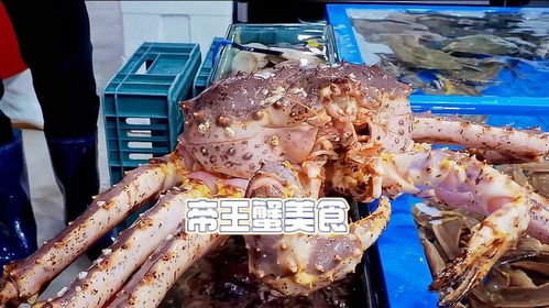 序章：为何给帝王蟹起名竟能拯救人生？