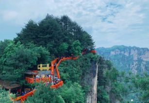 为什么鹤壁焦作，成了定制游的“隐藏答案”？
