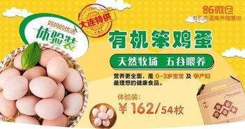 一、禽卵中抗生素及激素残留之现状分析