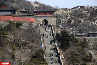 魁星道观灵签抽签小程序在哪里入口？