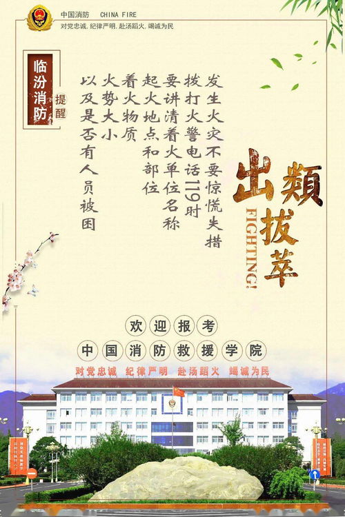 五、  生肖冲煞与个体命理的差异化影响