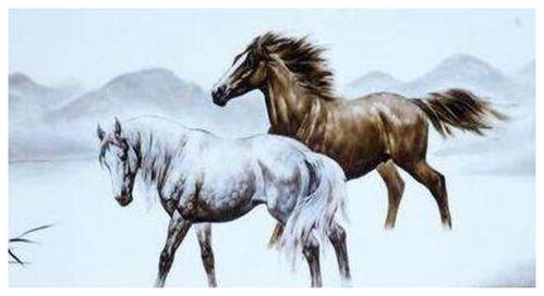 属马的人财运最旺的生肖是哪些？